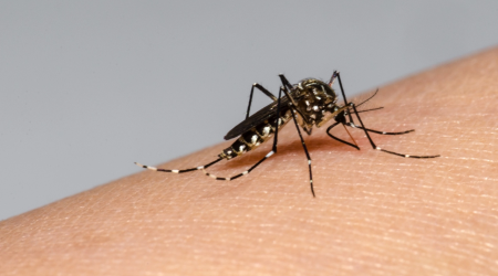 La OPS advierte sobre la "peor temporada de dengue" que puede enfrentar América en 2024