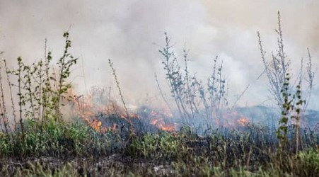 7 Michigan counties to see controlled burns Thursday