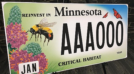 Have You Seen All Of Minnesota’s License Plate Options? [GALLERY]