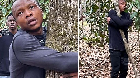 Ghana man hugs 1,123 trees in an hour for world record