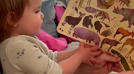 WATCH: Toddler is ‘all done’ with dad’s animal game