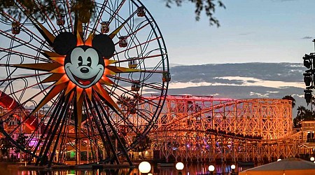 Disneyland fight involving stroller-pushing mom leads to ejection