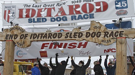 Iconic arch used as Iditarod finish line collapses in Alaska