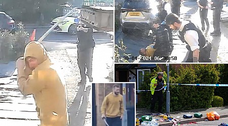 Video shows sword-wielding attacker cornered by London cops