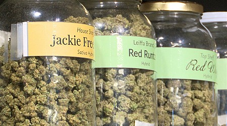 How will a federal reclassification of marijuana affect Colorado's struggling industry?