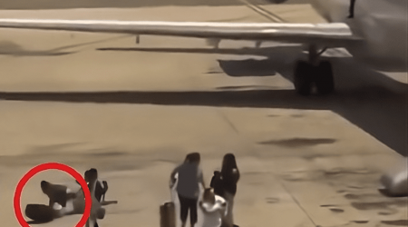 Video Captures Passenger Bringing Carry-on Down Slide During Emergency Evacuation, Tumbling Onto Tarmac