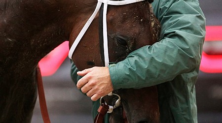 12 horse deaths last year at Churchill Downs brought change to Kentucky Derby