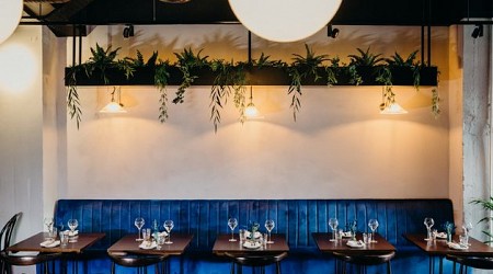 The Glass Curtain review: ‘Cashel Blue in my martini and jambons for starters – this buzzy Cork spot is pure class’