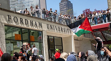 Aux Etats-Unis, de nouvelles interpellations sur les campus mobilisés contre la guerre à Gaza