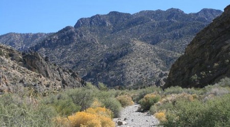 Hidden Forest Trail in Las Vegas, Nevada