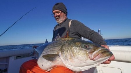 As striped bass season rhode island gets started, William Sisson is worried for their future