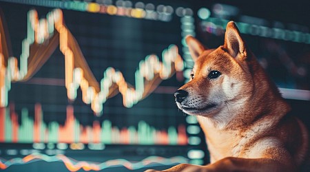 Dogecoin Maxi DonAlt Posts $1 Price Prediction – Risk On For Meme Coins?