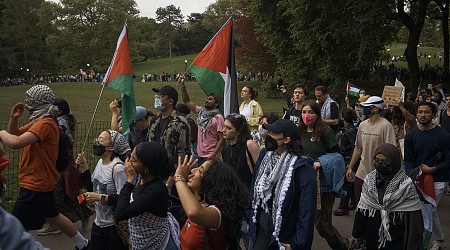 Pro-Palestinian protesters break through barriers trying to reach star-studded Met Gala in New York City