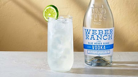 Ex-Patrón tequila execs launch ‘truly disruptive’ vodka in Texas
