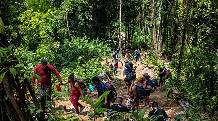 Fermer la jungle du Darién aux migrants, la promesse “impossible” du président du Panama