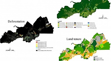 In Brazil, 76% of deforestation in three Amazonian states occurred in a planned agricultural development zone