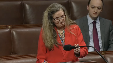 A lawmaker with a brain disease used voice assist to back her bill on the House floor