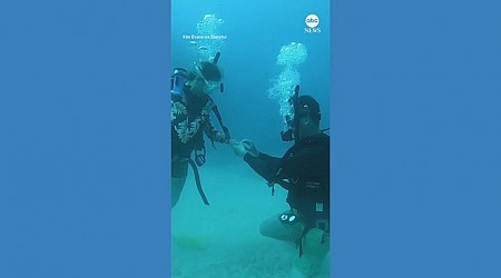 WATCH: Man proposes to girlfriend while scuba diving off Fiji coast