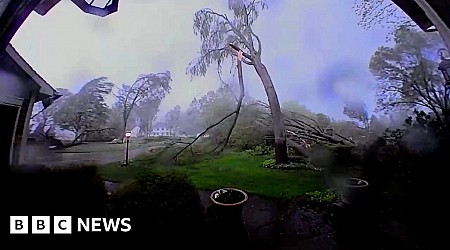 Doorcam captures tornado winds tearing down trees