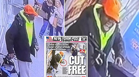 Homeless attacker charged for random stabbing of Times Square tourist after history of mental health issues