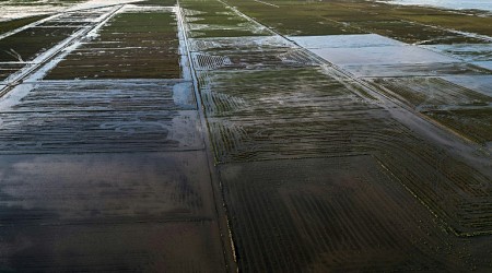 Brazil drops rice tariffs after flooding hits key farming region