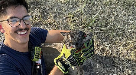 Firefighters rescue tiny kitten from storm drain