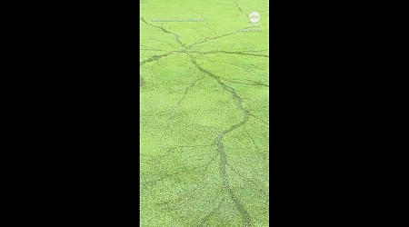 WATCH: ‘Crazy’ lightning pattern found on Ohio golf course after thunderstorm