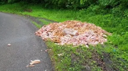 Large Pile Of Meat Found On Side Of Ohio Road, And No, It’s Not Your Mom