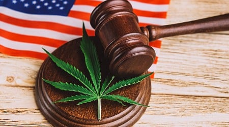 Which States Have Legalized Marijuana for Recreational or Medical Use? - CNET