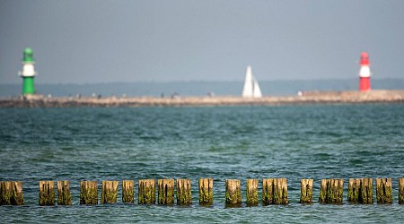 Umwelt: Studie verweist auf Thallium-Belastung der Ostsee