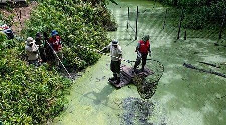 Le Costa Rica ferme ses zoos publics