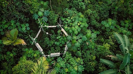 El Yunque es un laboratorio a cielo abierto: así se investiga el futuro de los bosques en esta joya puertorriqueña