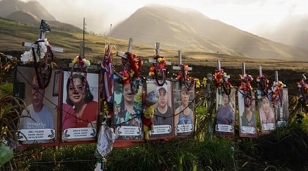 No sign of widespread lead exposure from Maui wildfires, Hawaii health officials say