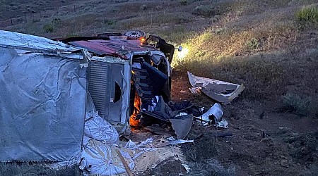 "Sludge" from Mormon cricket invasion causes multiple crashes in Nevada