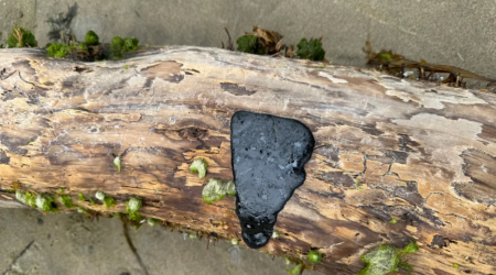 Warning Issued Over Mystery Beach Clumps-'Avoid Touching'