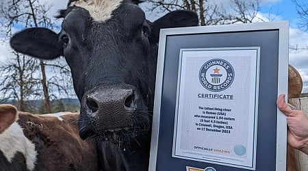 6-foot, 4-inch steer officially the tallest in the world