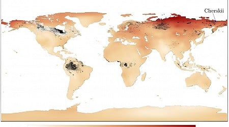 Zombie fires in the Arctic smolder underground and refuse to die—what's causing them?