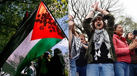 Meet Students at 4 Colleges Where Gaza Protests Win Concessions, Incl. Considering Israel Divestment