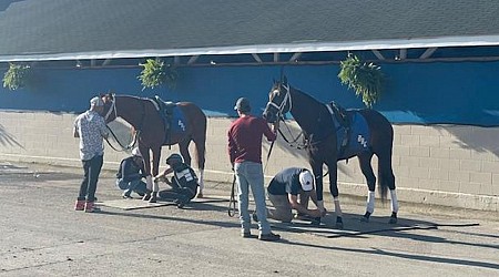 Horses must be healthy to race. This clinic makes sure their caretakers are, too.