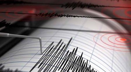 Cutremur cu magnitudine 6,4 în Mexic. Seismul s-a resimţit şi în Guatemala