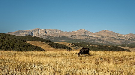 Montana Ranchers Question Massive Solar Project