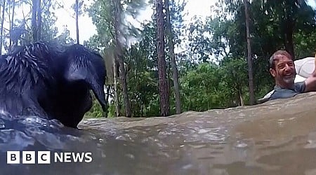 Bodycam shows jet ski rescue of man and dogs in flood