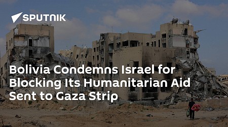 Bolivia Condemns Israel for Blocking Its Humanitarian Aid Sent to Gaza Strip