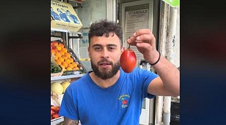 Prueba un tomate de árbol y este es el veredicto que deja