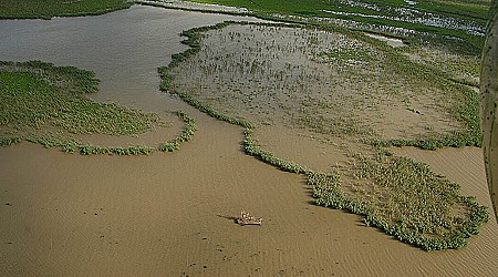 Study finds sea-level rise and weather-related shocks caused Louisiana marsh to die back