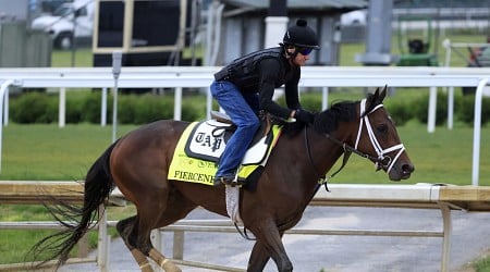 Kentucky Derby 2024 Contenders: Final Vegas Odds and Projections for Top Horses