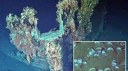 Colombia marks 'holy grail' shipwreck as 'protected archeological area'