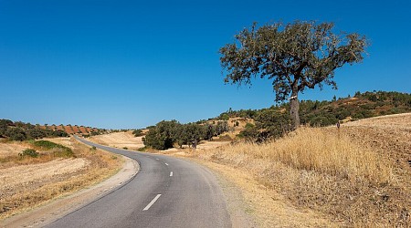 La ruta en coche más larga del planeta sin pisar costa tiene 14.043 kilómetros y se encuentra en un continente inesperado