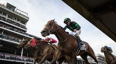 Preakness 2024 Horses: Entry List, Vegas Odds and Dark-Horse Favorites