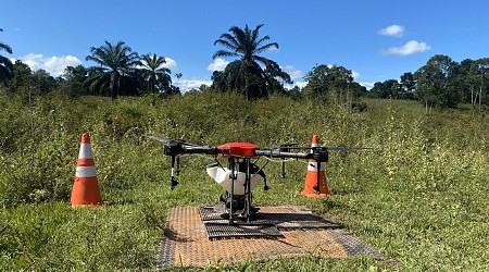 Are seed-sowing drones the answer to global deforestation?